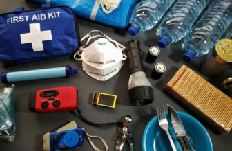 dog first aid essentials